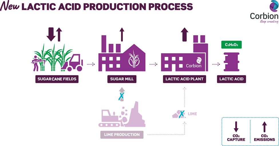 Lactic acid production process graphic.