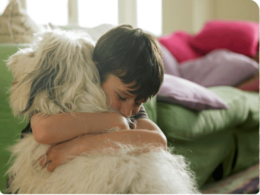 Child hugging a fluffy dog