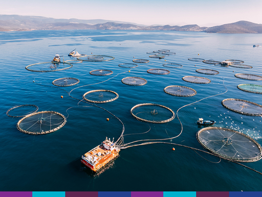 Aquaculture tanks in ocean.