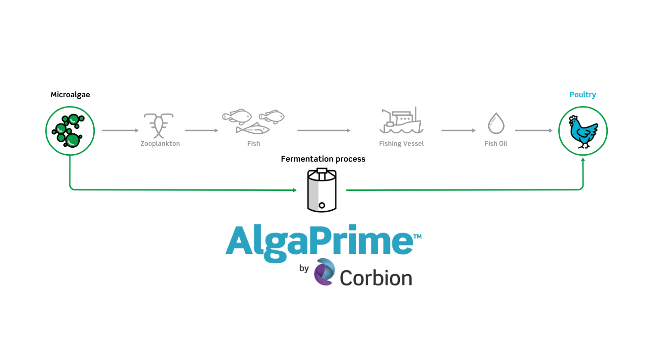 Pathway AlgaPrime for Poultry