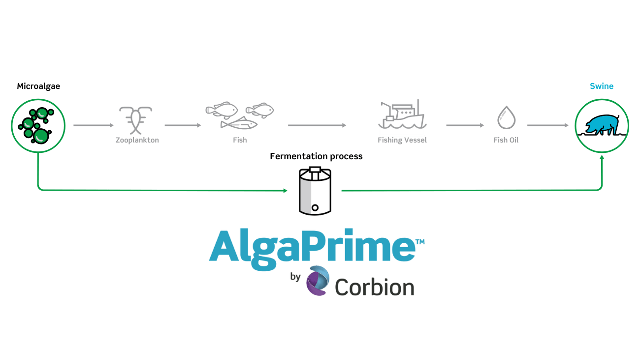 Pathway AlgaPrime for Swine