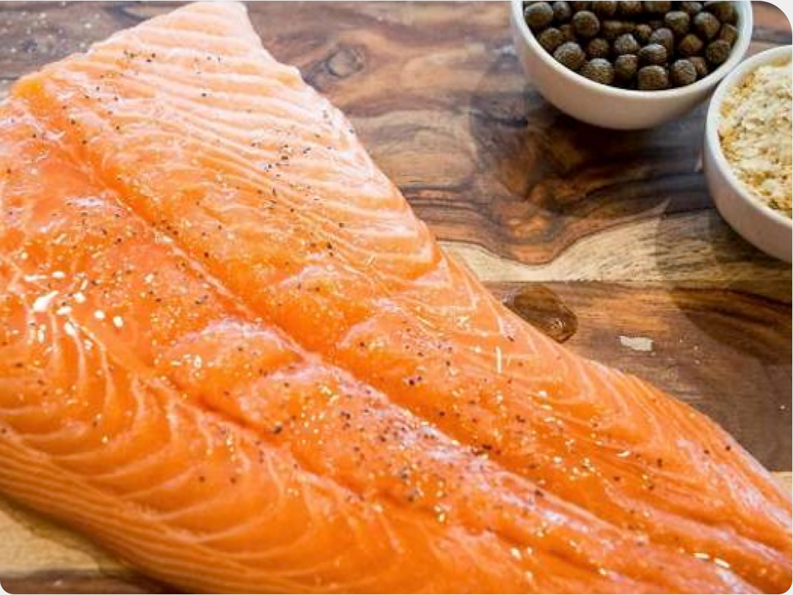 Salmon fillet
