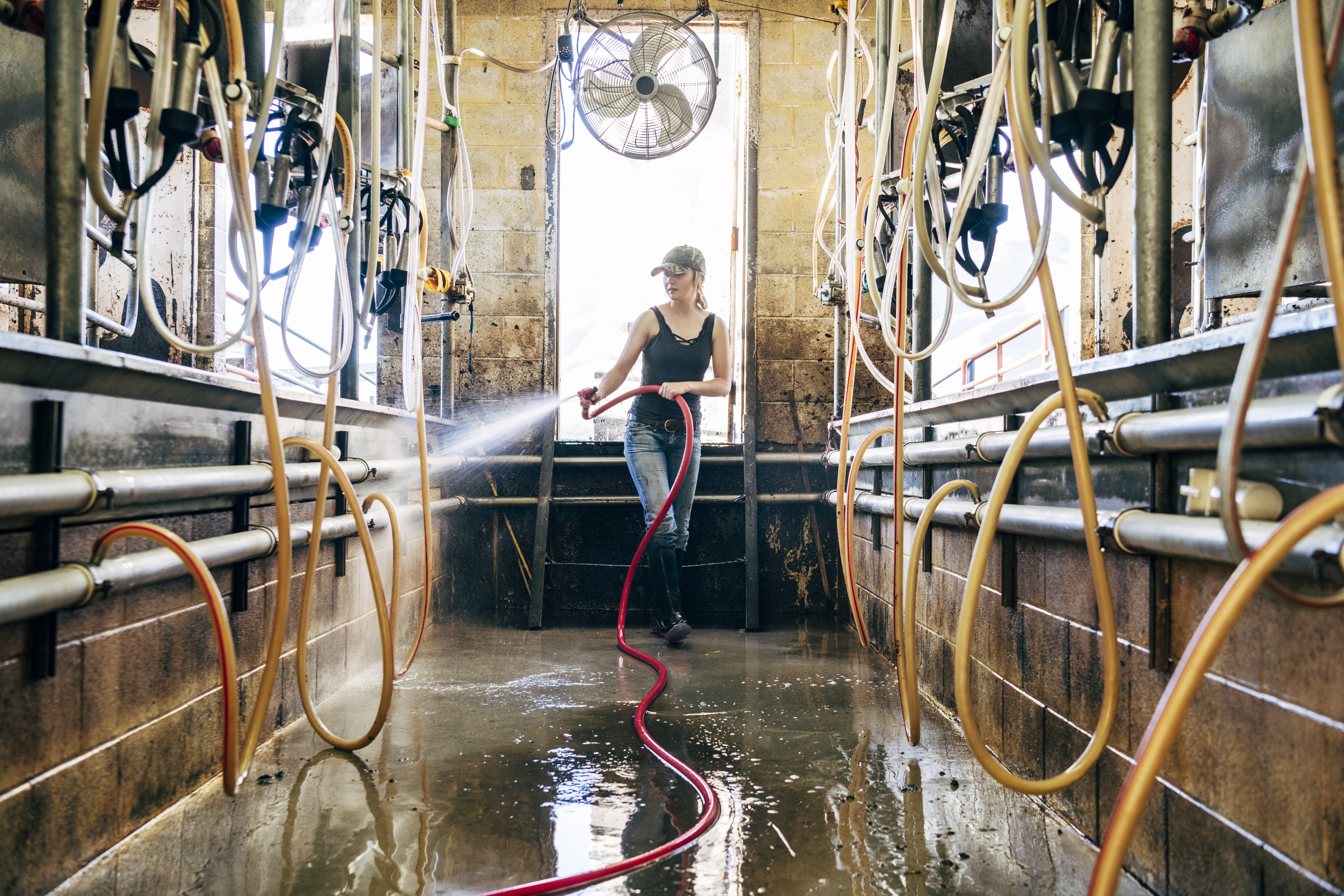 Woman cleaning animal stalls. 