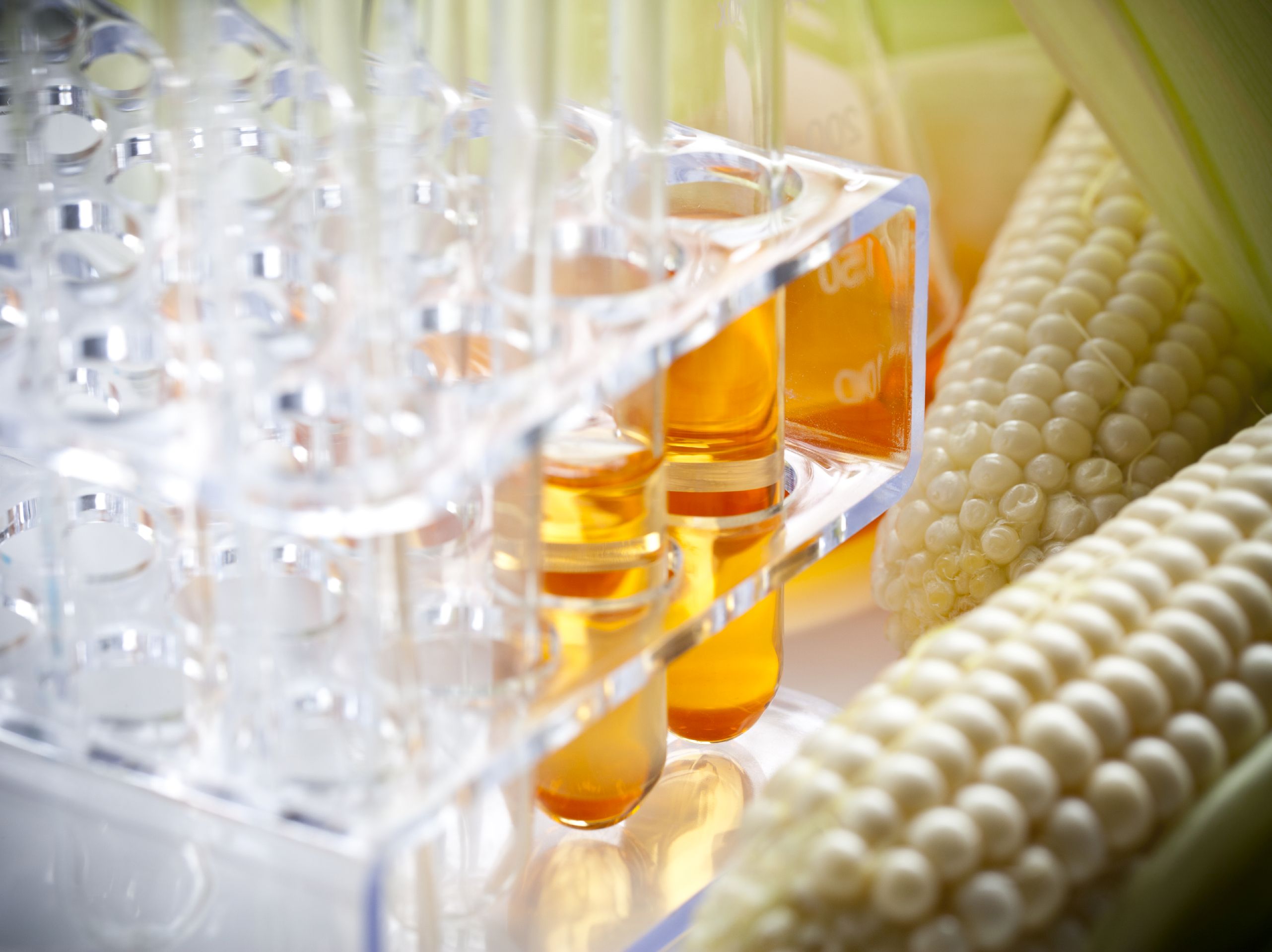 Test tubes and corn on the cob.