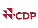 CDP logo