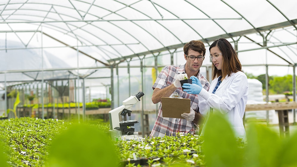 People in greenhouse.
