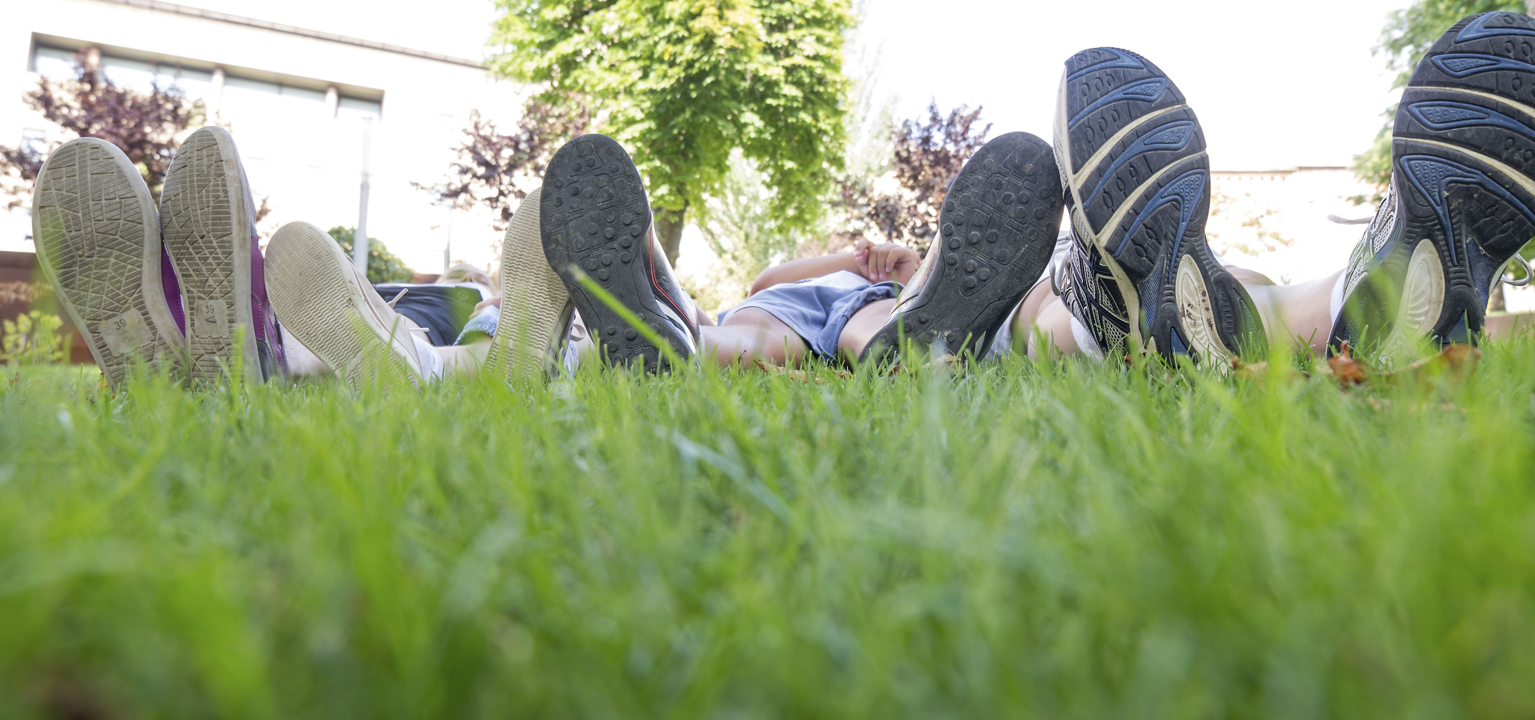 Row of sneakers on feet laying in green grass.