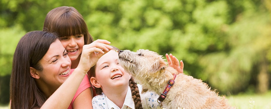 Smiling mom and girls giving cute dog a treat. 