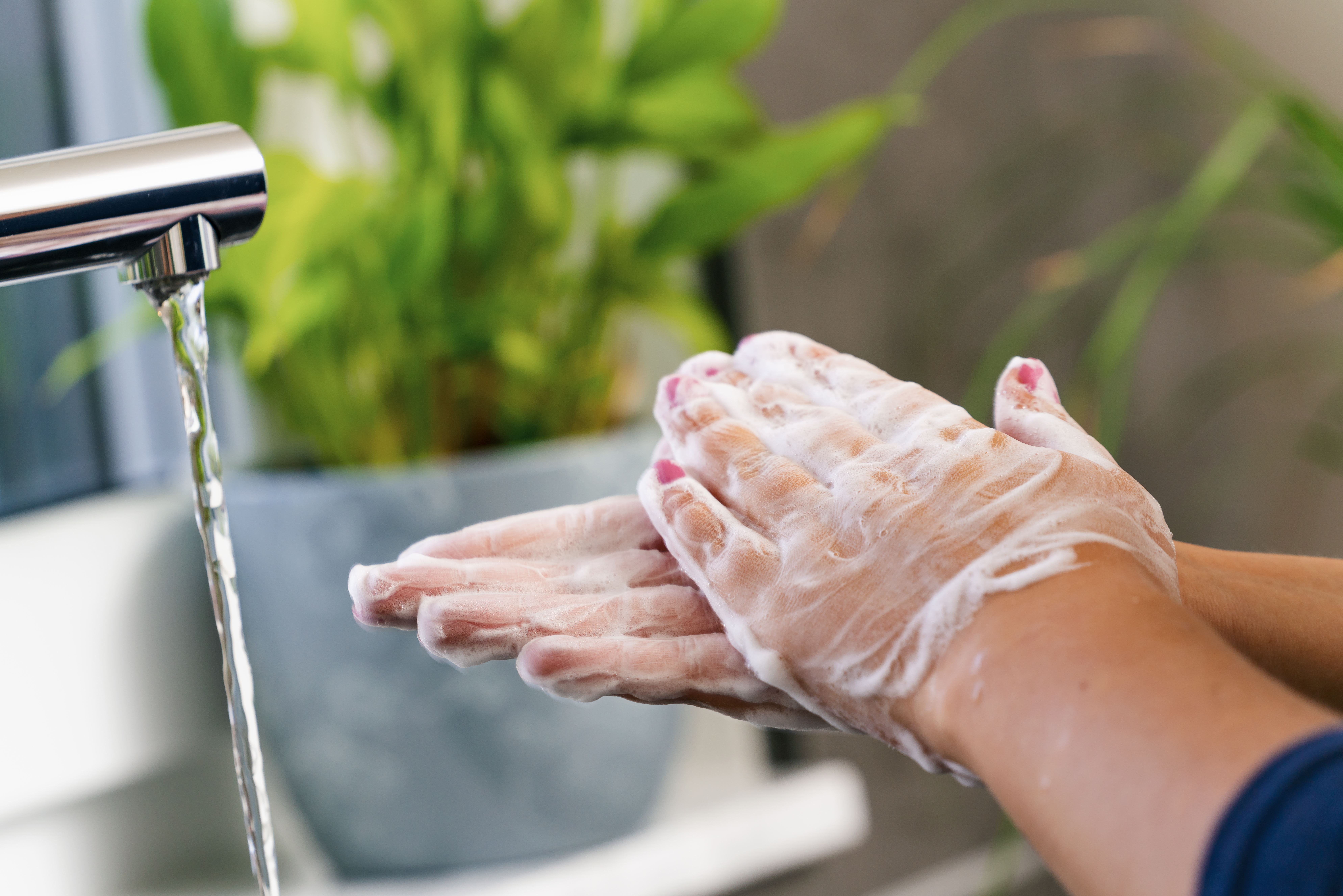Soapy hands being washed at sink.