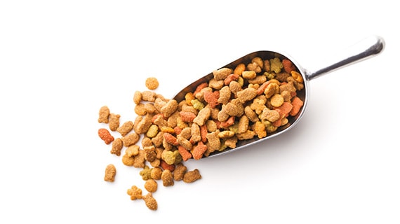 Big scoop of pet food.