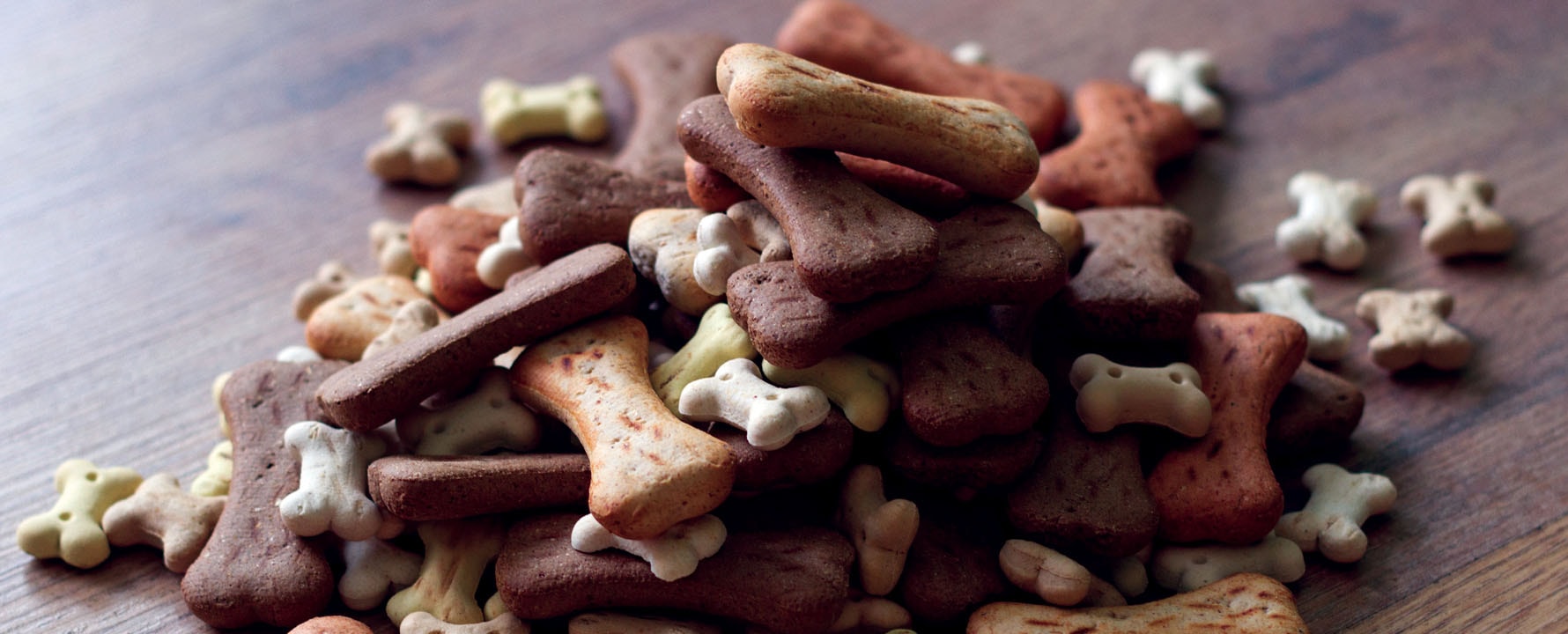 Pile of various size bone shaped pet treats. 