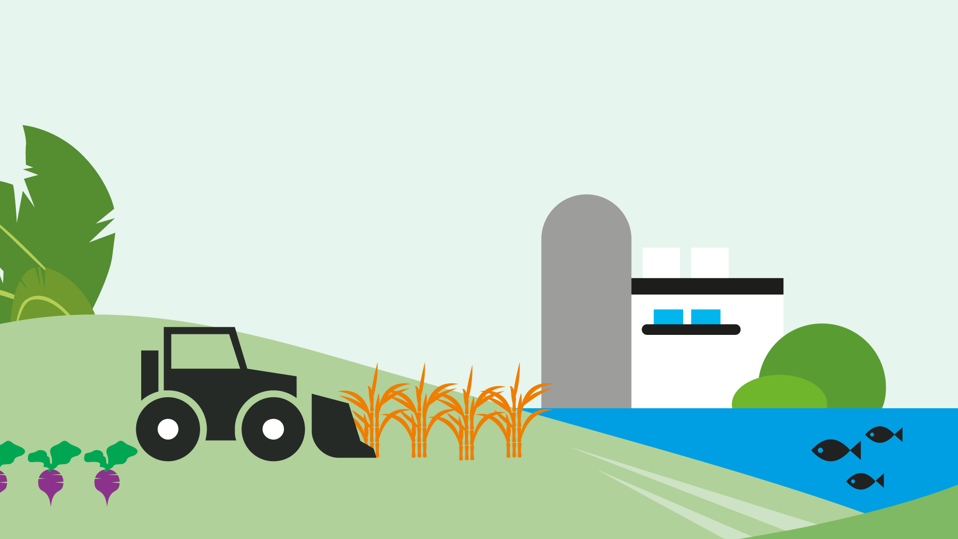 Sustainable animation.