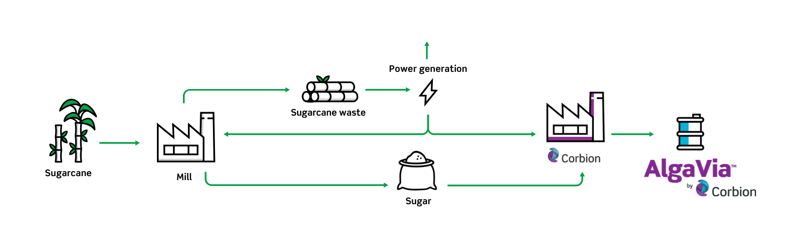 Microalgae fermentation process for AlgaVia