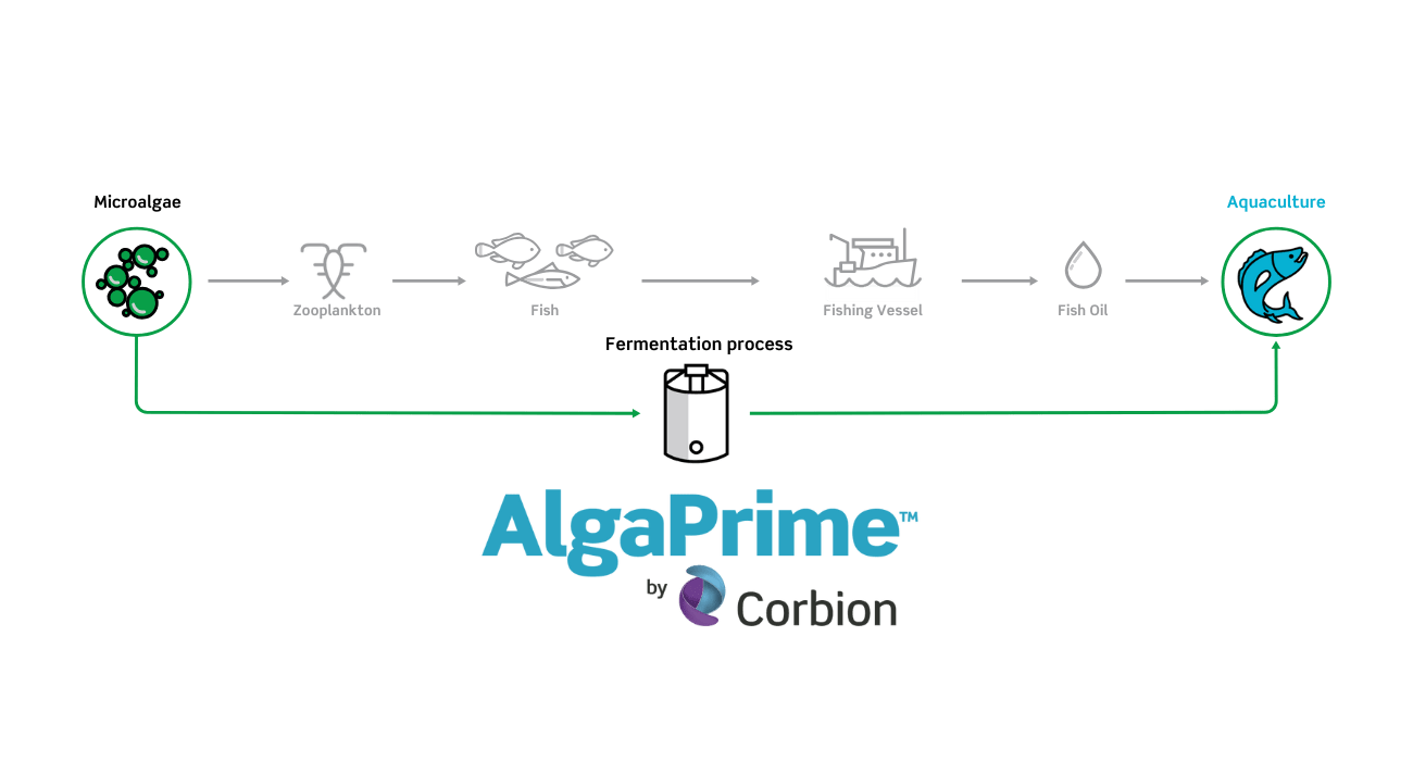 Pathway AlgaPrime for Aquaculture