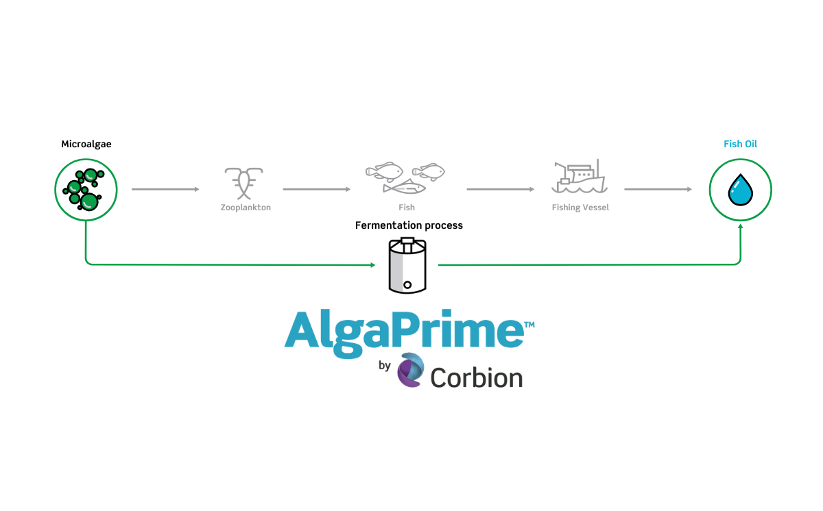 AlgaPrime DHA process